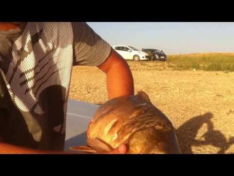 pêche à la carpe amar setif barrage zada