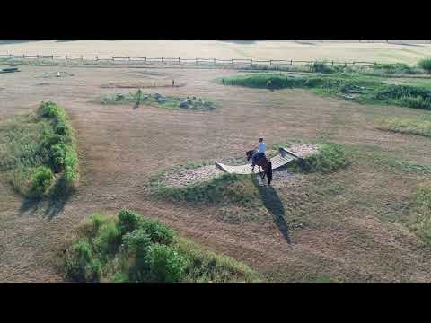 MUSTANG MAKEOVER 2018 Team Sebsatian (TAG 3991) - Update 5