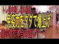 トレを中断しない為に免疫力をタダで爆上げ嘘の様で本当の話し?