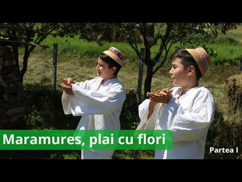 Vlog #7 : satul Ieud, Maramures (partea 1)