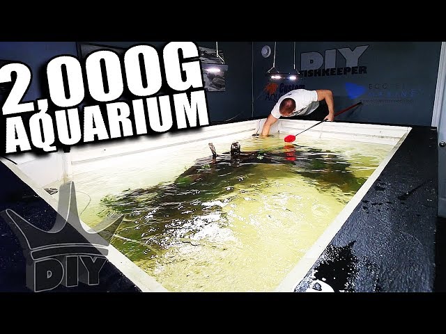 How I clean my 2,000G AQUARIUM