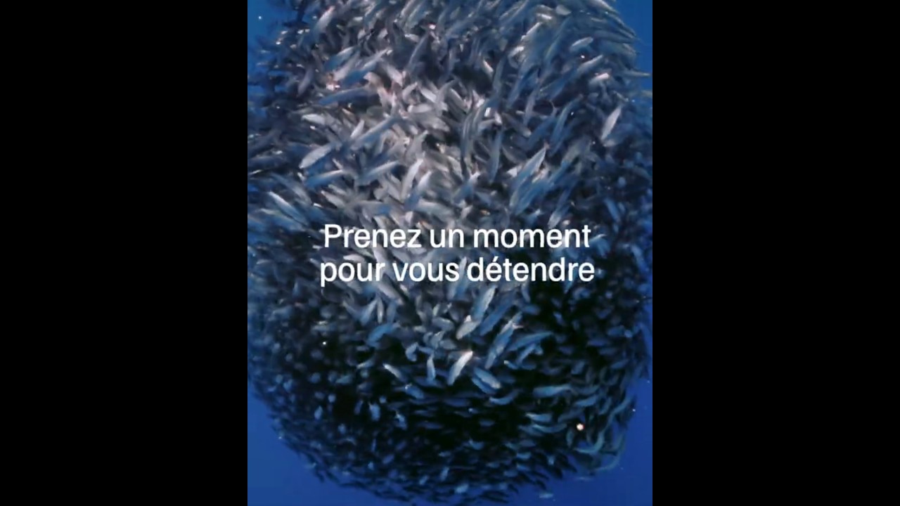 La pêche durable c’est plus de poissons 🐟