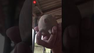 Download lagu Inilah Bukti Kemakmuran Kerajaan Majapahit Waktu Itu mp3