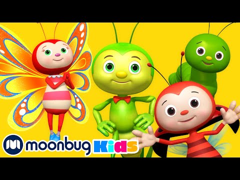 Bugs! Bugs! Bugs! Bugs! | LBB Songs | Learn with Little Baby Bum Nursery Rhymes - Moonbug Kids