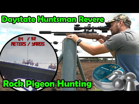 Rock Pigeon Hunting | Daystate Huntsman Revere | Air Gun Pest Control