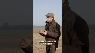 Rebhuhn-Projekt: Erfolgreiche Projekte für Bedrohte Arten #shorts