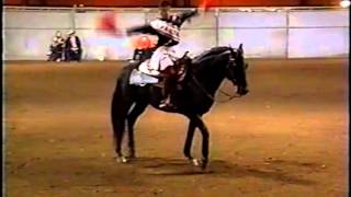 Painters Pine Ridge & Kim Diercks World Champion Morgan Reiner Hey Mickey