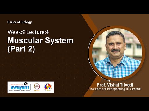 Basics of Biology Intro Video