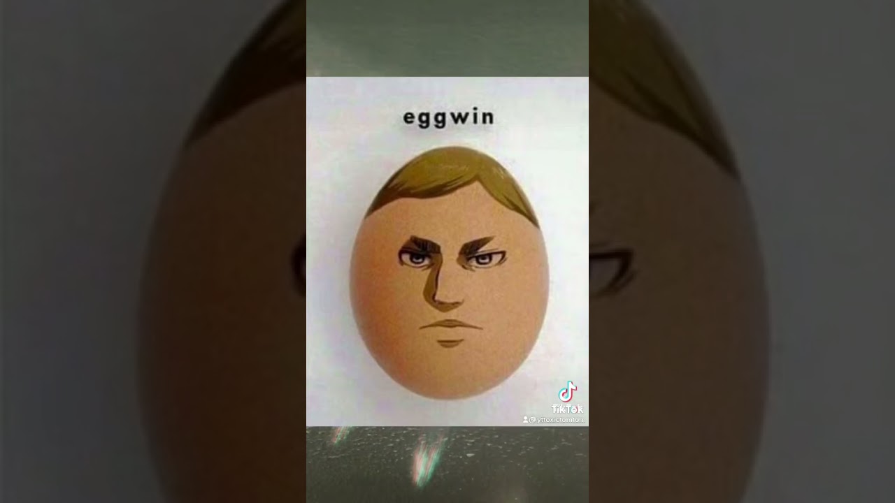 cursed aot memes/images