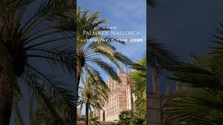 【マヨルカ島vlog🇪🇸】パルマ・デ・マヨルカ市内1日街歩き #マヨルカ島#スペイン#ヨーロッパ#パルマデマヨルカ#旅行vlog#ヨーロッパ在住#travelvlog#mallorca#spain