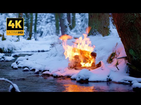 4K 📺 Silent Winter Campfire by the Forest Stream ❄️🌲100% Authentic Sounds