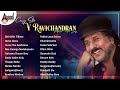 Crazy Star V Ravichandran Popular Hit Songs | Kannada Movies Selected Songs|#anandaudiokannada