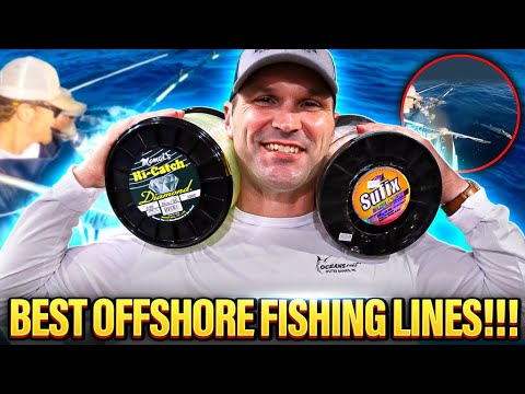 Offshore Fishing Line Smackdown: Ande vs Sufix vs Quattro vs Momoi