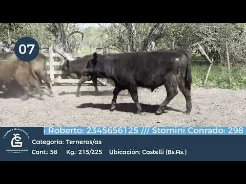 Lote M Y H- Castelli Bs As