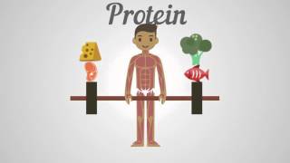 Biology - Proteins, Carbohydrates & Fats