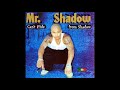 Mr Shadow - Blazin'.