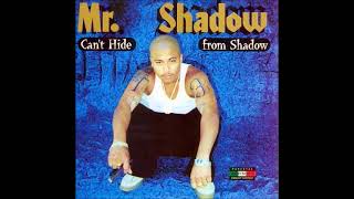 Mr Shadow - Blazin'.