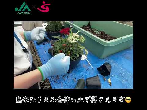 花（寄せ植え）｜JAめぐみの×美・デザイン＆医療事務コース　産学連携授業作成動画｜中部学院大学・中部学院大学短期大学部