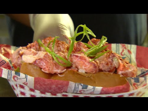 download lagu mp3 mp4 Fresh Maine Lobster Prices, download lagu Fresh Maine Lobster Prices gratis, unduh video klip Fresh Maine Lobster Prices