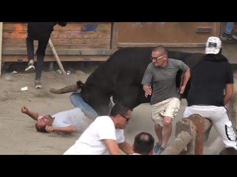 AIGUES MORTES ABRIVADO - COURSE AU PLAN - BANDIDO 14/10/23