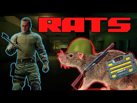 The Evolution of the RAT | Tarkov Geographic