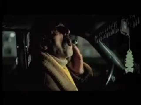 Cand se stinge lumina, Igor Cobileanski, 2006