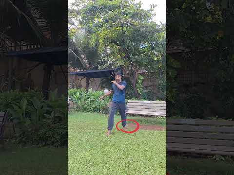 Low Feint and Roundhouse Kick #tutorial #martialarts #feint #roundhousekick #mma #shorts