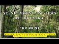 POV Drive From Nuwara Eliya To Kandy Via Gampola Scenic Tea Estates Mountain Views