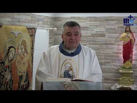 Homilía de hoy |  Santa María, Madre de la Iglesia | 20-05-2024 | Pbro. Santiago Martín, FM