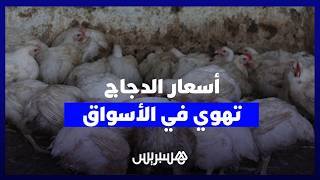 أسعار الدجاج تهوي في الأسواق.. مستهلكون يرحبون بانخفاضها وتجار: العرض يفوق الطلب thumbnail