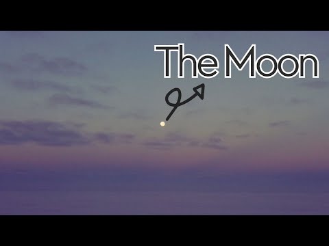 FOG - CLOUDS - SUNRISE AND THE MOON - FROM THE AIR - VENADO TUERTO - SANTA FE - ARGENTINA 🇦🇷