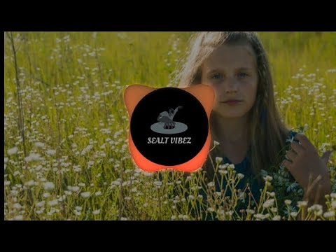 DJ Zedboy Ft. Di'ja - My Baby [ AfroStyle ReMix]🇻🇺