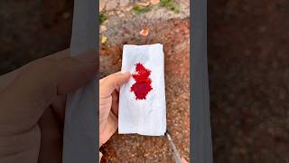 Ele fez tudo por ela 😭 #funny #shorts