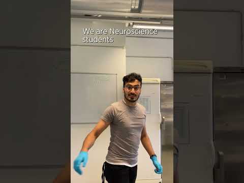 Life as Neuroscience student: students’ take | University of Helsinki #studentlife #neuroscience