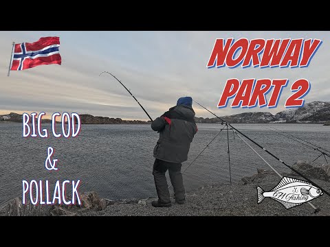Fishing in Norway - Big Cod & Pollack (Day 2)