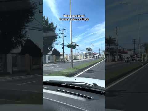 Manauara morando em Santa Catarina #santacatariana #itajai #manauara #shorts #shortvideo