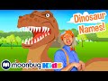 Learn Dinosaur Names BEST OF Blippi Explore With Me