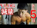 【VLOG】関東メンズフィジークまであと5日!ダイエット飯がこれだ!!