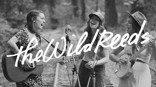 The Wild Reeds Perform &quot;Love Letter&quot;