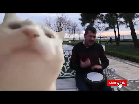 [FutureHouse] Ievan Polkka EDM Remix - ft. Bilal Goregen, Vibing Cat