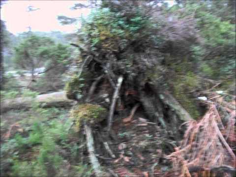 Videoclip de Grottans Barn — Finntroll