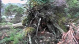 Finntroll-Grottans barn (music video)
