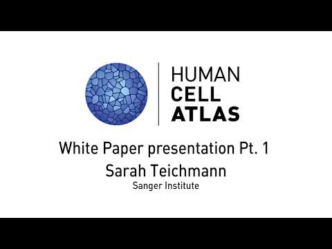 SarahTeichmann, White Paper presentation Pt. 1