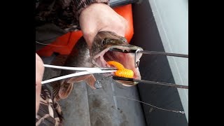Эхолоты в тюмени для рыбалки