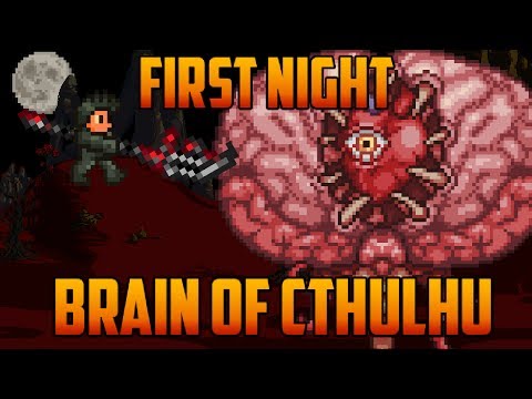 Terraria - Brain of Cthulhu first Night [Speedrun Challenge]