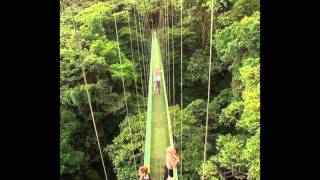 Lloyd Cole and the Commotions -Mr. Malcontent