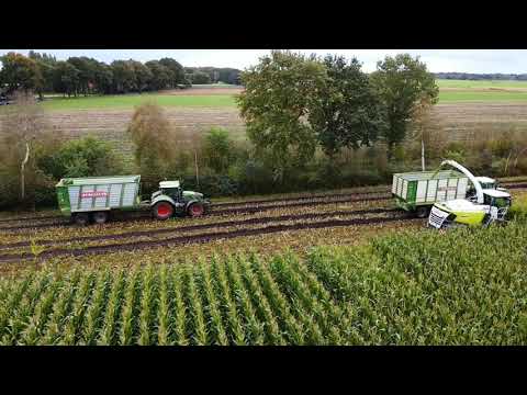 Maisernte 2021 Lohnunternehmen Dierks Godensholt #fendt #claas #claasjaguar #bergmann