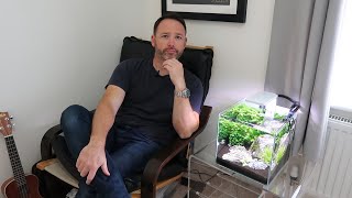 Iwagumi Aquascape Spotlight - Underwater Houseplants!