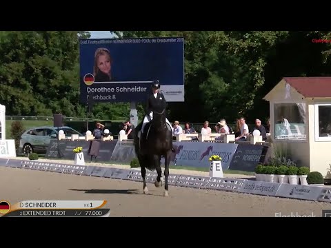 Dressurhengste Schleier | Flashback | Hengstpräsentation 2022