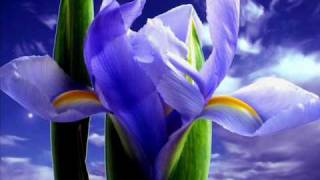 Marco Mengoni - La Guerra